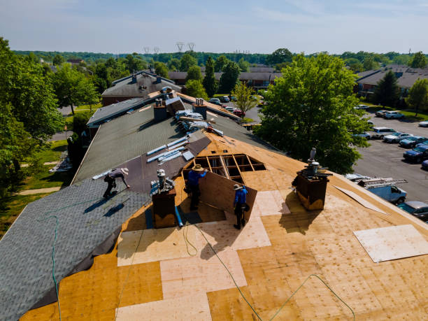 Quick and Trustworthy Emergency Roof Repair Services in Shiloh, OH